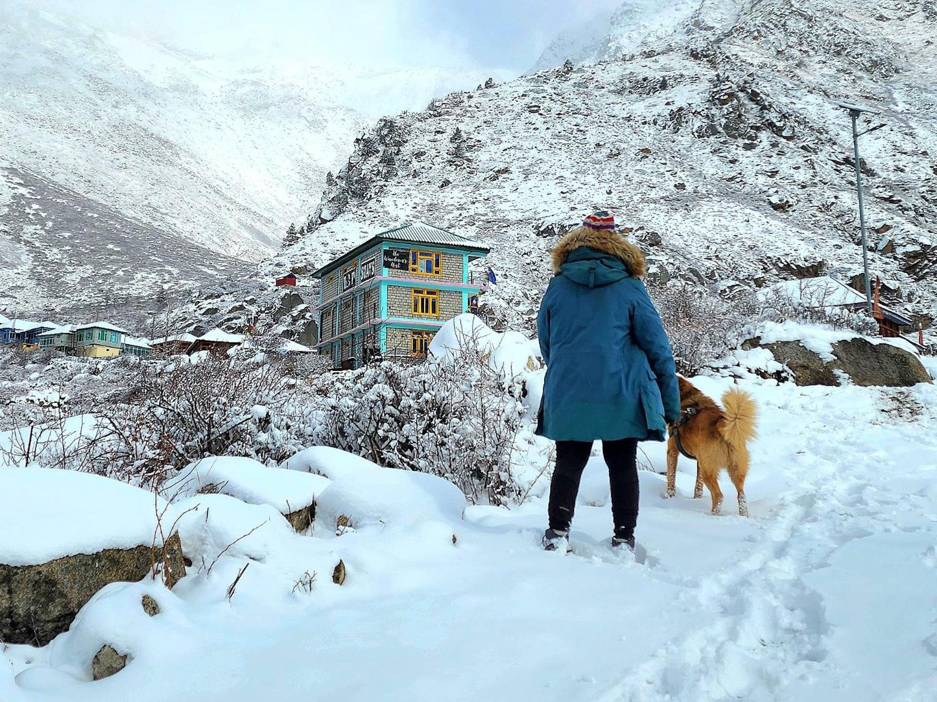 Lap Stays - Wanderer'S Nest Chitkul Zewnętrze zdjęcie